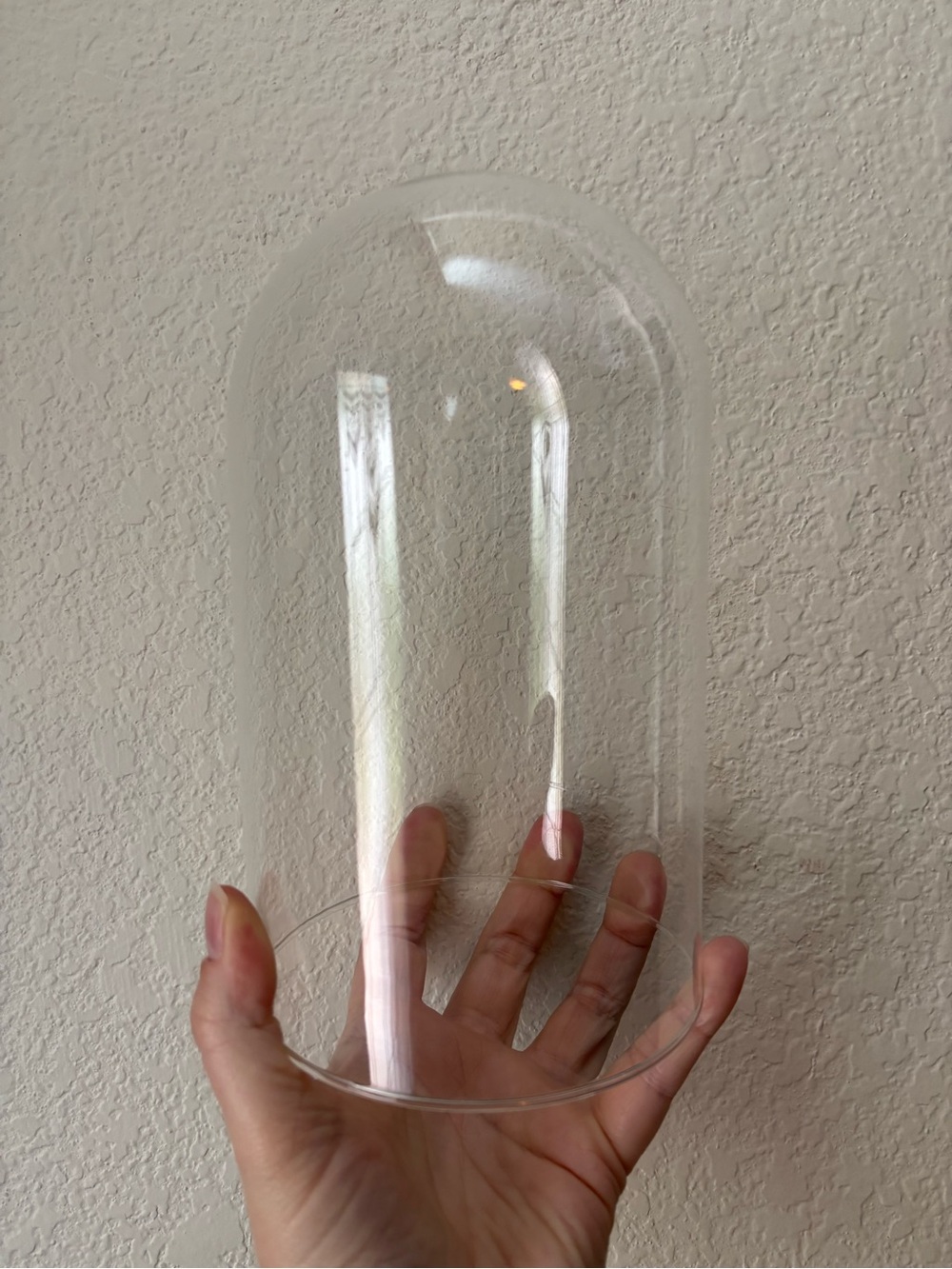 Glass Cloche Dome